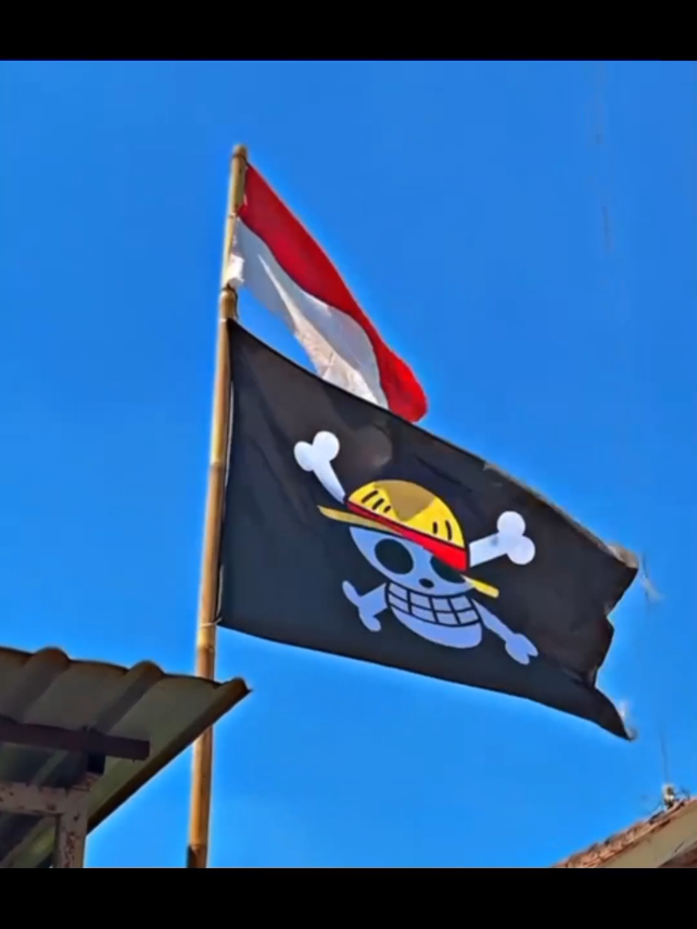 Bendera One Piece#benderaonepiece #onepiece #merahputih #lewatberandafyp #fyp 