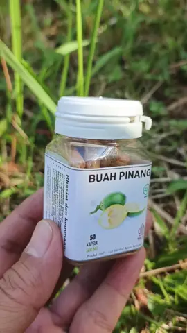 Kapsul Buah Pinang Muda Cek Disini 👉 @M A S ARIFIN  #kapsul #pinangmuda #pinang #kapsulpinangmuda #suplemen 