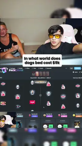 $9k dog bed hahaha #kickstreaming #aviamaster #togi #stevewilldoit #togixsteve 