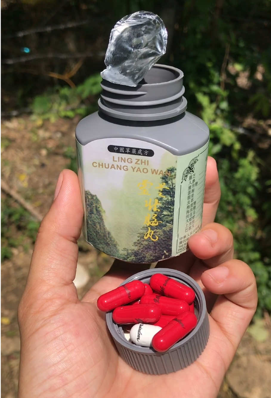 Siguradong tataba ka sa Ling Zhi Vitamins😉 #lingzhi, #healthcare, #vitamins, #pampataba, #trending    #creatorsearchinsights 