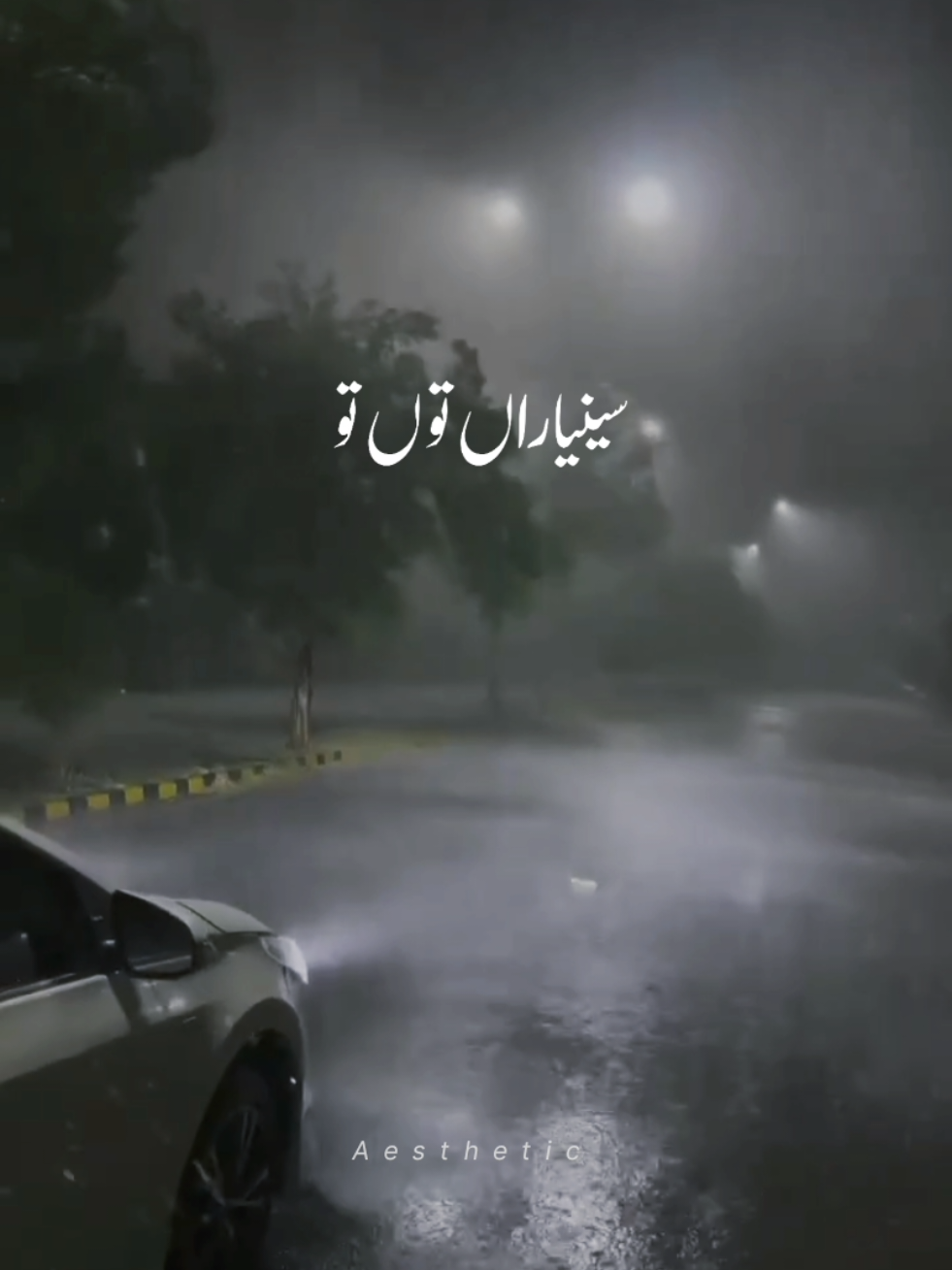 𝙎𝙖𝙞𝙮𝙖𝙖𝙧𝙖 𝙏𝙪 𝙏𝙤 𝘽𝙖𝙙𝙡𝙖 𝙉𝙖𝙝𝙞 𝙝𝙖𝙞 #foryoupage #foryou #vibe  #newtrendingsong #saiyara #urdusong #urdustatus #trending #saesthetic2.0  #viral #viralvideo #4you 