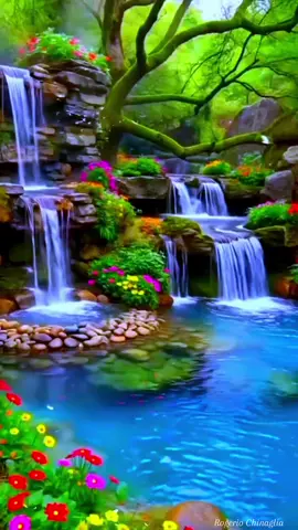 #flowers #naturebeauty #naturelover #videobackground #livewallpaper #relaxing #niceview #amazing #freetouse #usenow #trending #viral #foryoupage #foryou #rogeriochinaglia2 #paravoceforyou  #wallpaper  #wallpapervideo   #4k  #4kwallpaper  #vaiprafy  #foryoupagе  #aesthetic  #relaxingvideos #relaxing #calming @Nature lover @Ailin Music 🎶 @Nature lover #LIVEIncentiveProgram #LIVEIsEasy #PaidPartnership 