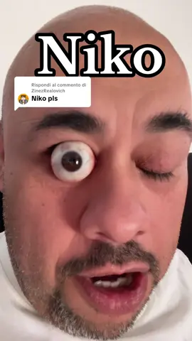 Risposta a @ZinezRealovich Niko #bellosguardo #👀 #eyes #name 
