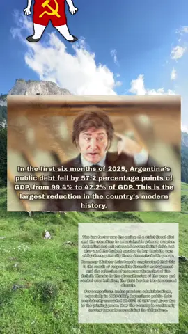 #capitalism #real #argentina #usa #rightwing #fyp #javiermilei 