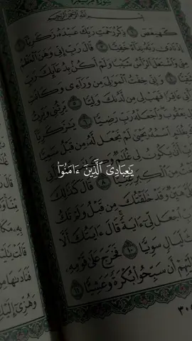 surah ankabut 56-58 #quran #QuranDaily #MuslimReminder #quran_alkarim #USA #France #quranrecitation 