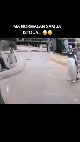 #fyp #foryou #trendingnow #tiktokviral #balkanedit #__slobo__21 