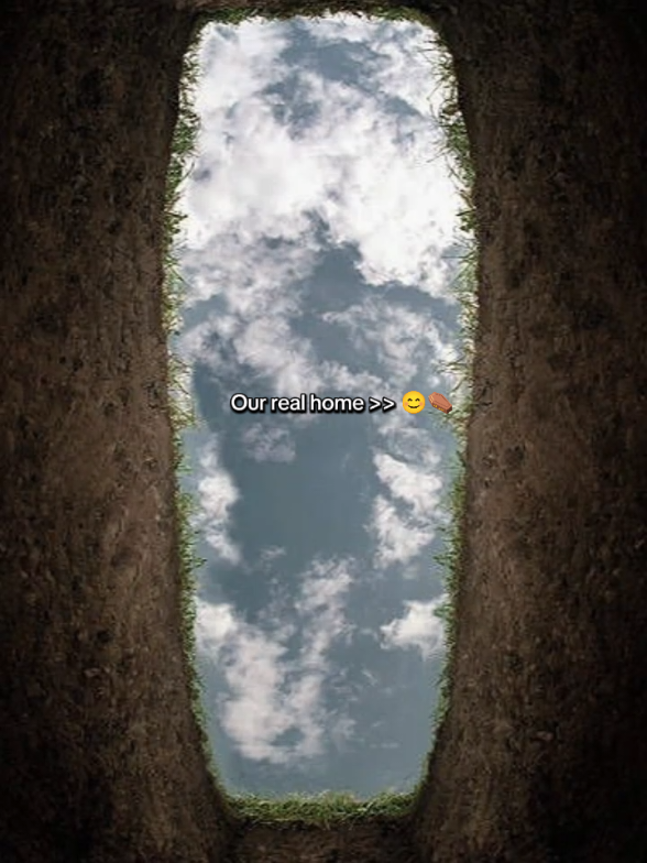 Last destination ⚰️❤️‍🩹 #fyppppppppppppppppppppppp #unfreezemyacount #foryouplease #foryou #viral #treandingvideo #growthmyaccount #trendy #foryoupage #fyp 