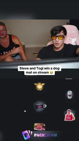 Steve and Togi win a dog mat on stream 😭 #kickstreaming 
