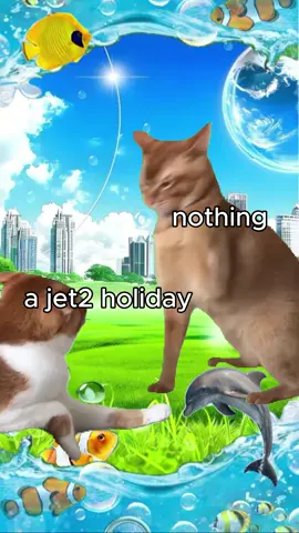 🎵Darling hold my hand🎵 #fyp #foryou #foryoupage #jet2holidays #cat #jet2 #aesthetic 