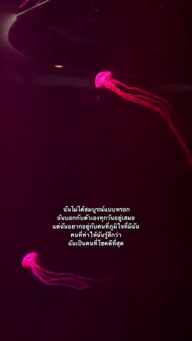 🤍 #fyppppppppppppppppppppppp #เธรด 