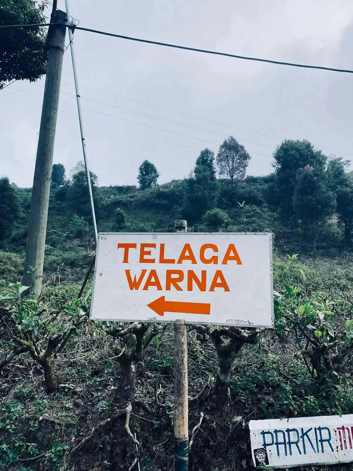 #telagawarnapuncak #exploer #fypage #couple 
