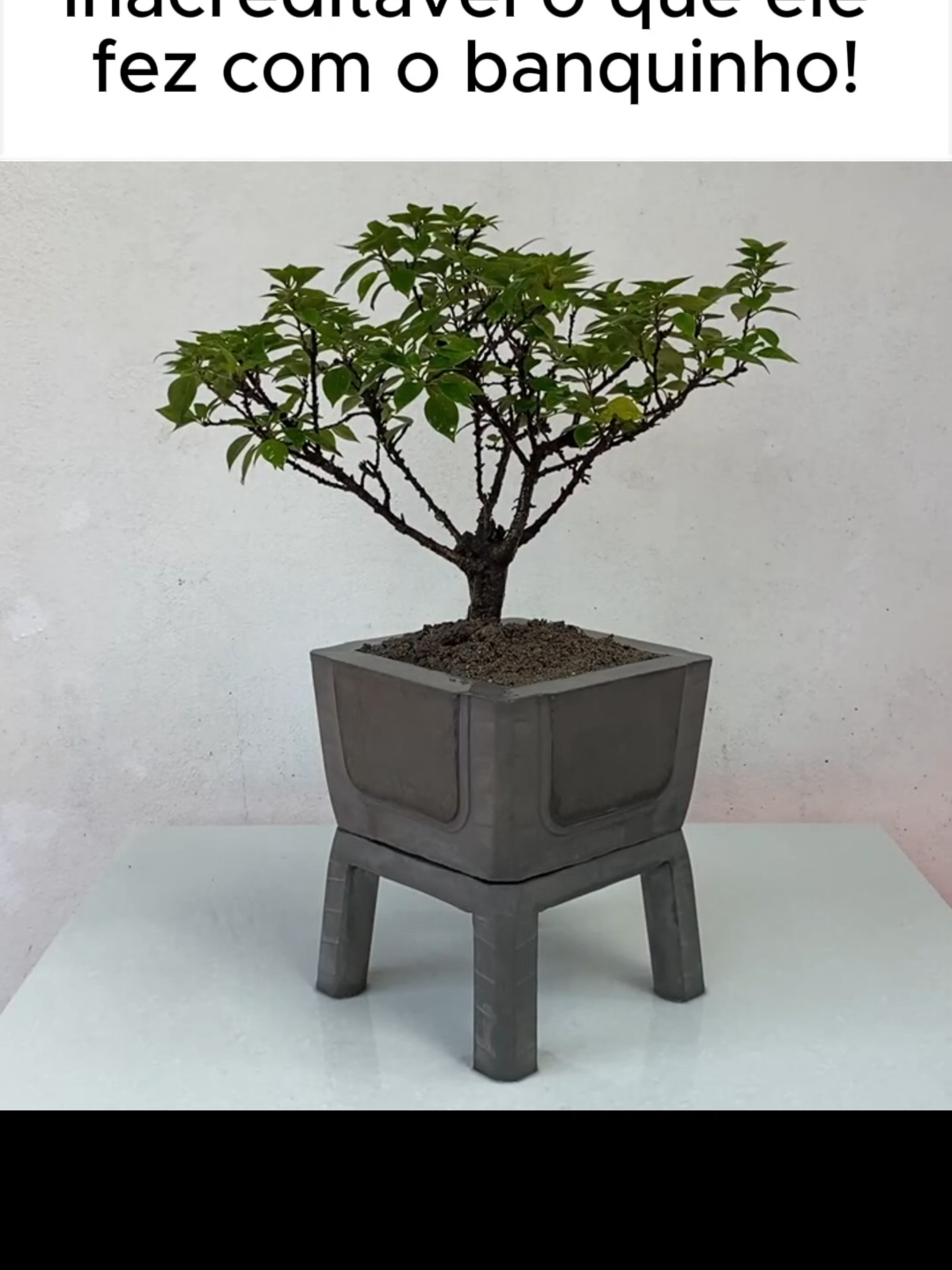 Incrível! ideia de vaso usando banquinho de plástico!#DIY #jardinagem #craftideas #craft #decoração