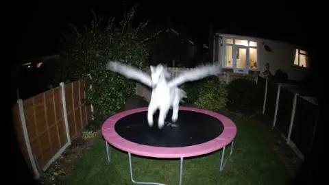 just checked the home security cam and caught this unicorn 🦄 on the trampoline... glad they're enjoying! LOL @Ring #unicorn #ringdoorbell #ring #unicorns #trampoline 
