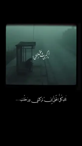 Mohsen Chavoshi Koja Boodi  #محسنچاوشی #محسنچاوشی🌹🌹🌹 #محسنچاوشی_ #محسنچاوشیصنگصبورروزسیزده #غمگین #گوگوش #آهنگ #شادمهرعقیلی #محسن_ابراهیم_زاده #دلتنگی #دلنوشته #آهنگ_جدید #معین #ریلز #ویدیو #کلیپعاشقانه #خواننده #عکس_نوشته #اهنگ_جدید #غم #فیلم #ادیت #پاییز #استوری #پویان_مختاری #رهام_هادیان #تنهایی #دپرس #مهسا_امینی #گیتار