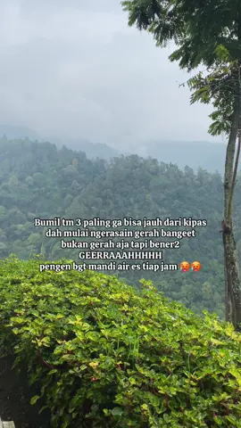 Ga cuma aku aja kan??? 🥵 #masyaallahtabarakkallah #bumil #trimester3 #bumilhappy #fyp #fypage 