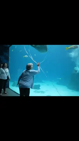 Who hates 2025?  #AquariumEscape #RealOrAI #SharkBreakout #GlassShatterMoment #DidYouSeeThat #CaughtIn4K #TooRealToBeFake #FakeButReal #UnrealFootage #MindBlown #ViralClip #RealisticAI #UnderwaterChaos #InsaneMoment #ThisCantBeReal #AIFailOrNot #WhatDidIJustWatch #SharkInvasion #RealLifeGlitch #UnexpectedAF