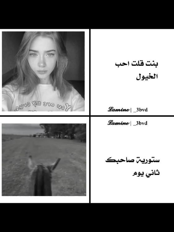 حصاني كان دلل المنية #تصميم_فيديوهات🎶🎤🎬 #تصميمي❤️ #حصان 