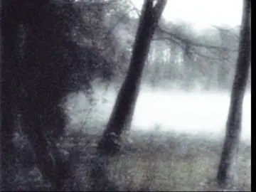Sleeplikewolves