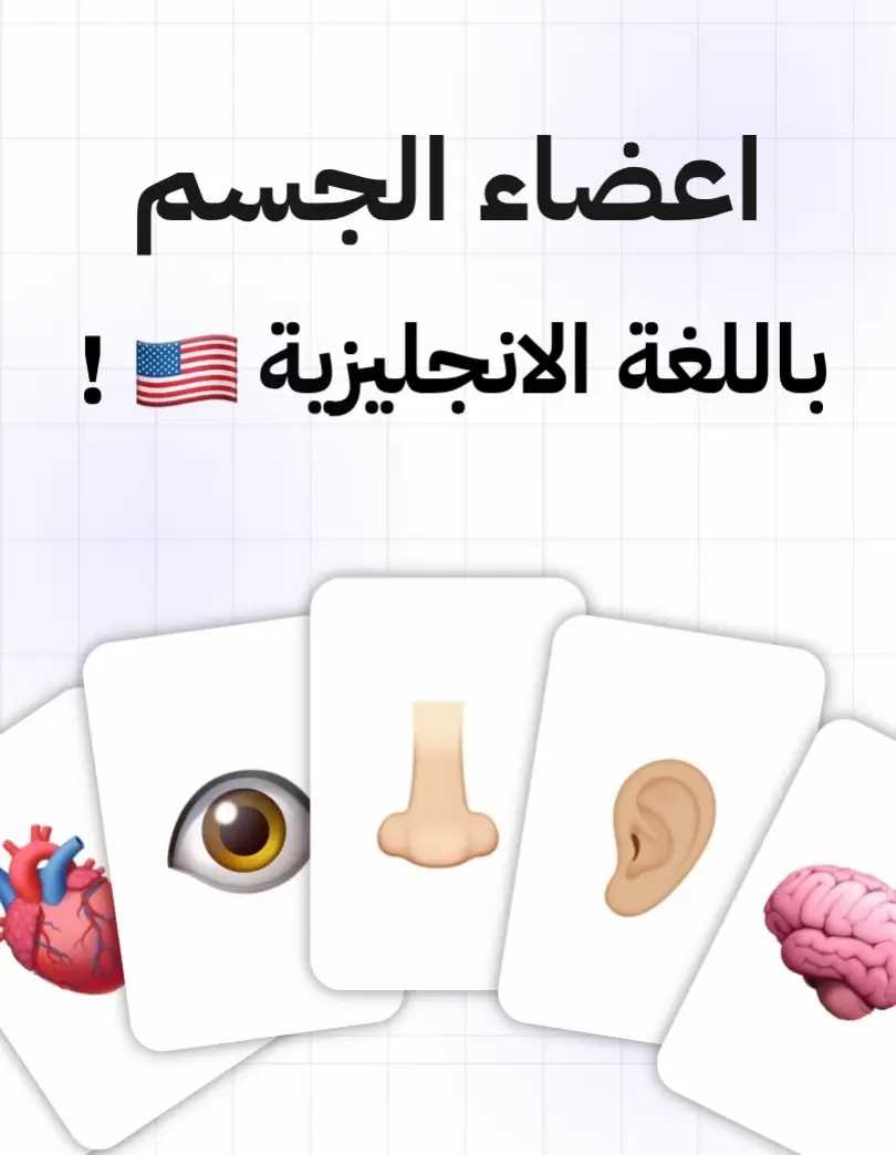 اعضاء الجسم باللغة الانجليزية | ايش جواب آخر كلمة ؟🙈 #تعلم_الانجليزية #انجليزي_للجميع #englishlearning 