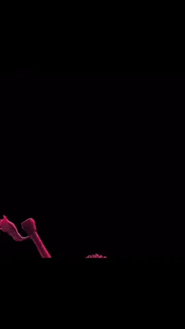 #berserk #berserkedit #berserkmanga #gutsberserk #guts #gutsedit #fyp #foruyou #foru #foryou #goviral #videoviral #goviralgo #justgoviral #xyzabc #zyxbca #paschalis_edit #愛 #blowup? #blowthisupforme #blowthisuptiktok #dontletthisflop 
