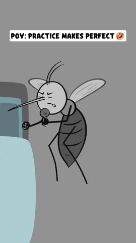 POV: Practice makes perfect 🤣 #mosquito #relatable #humor #viral #trouble 