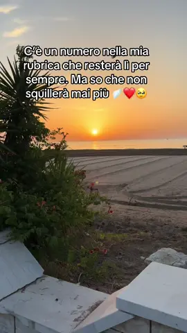 C’è un numero nella mia rubrica che resterà lì per sempre. Ma so che non squillerà mai più 🪽❤️🥹 #perte #foryoupage❤️❤️ 