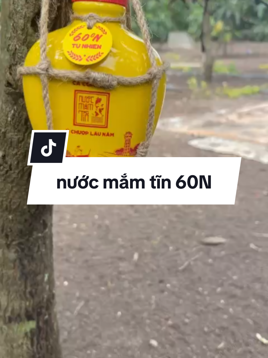 #nuocmamtin #nuocmamtinlangchaixua #review #xuhuong 