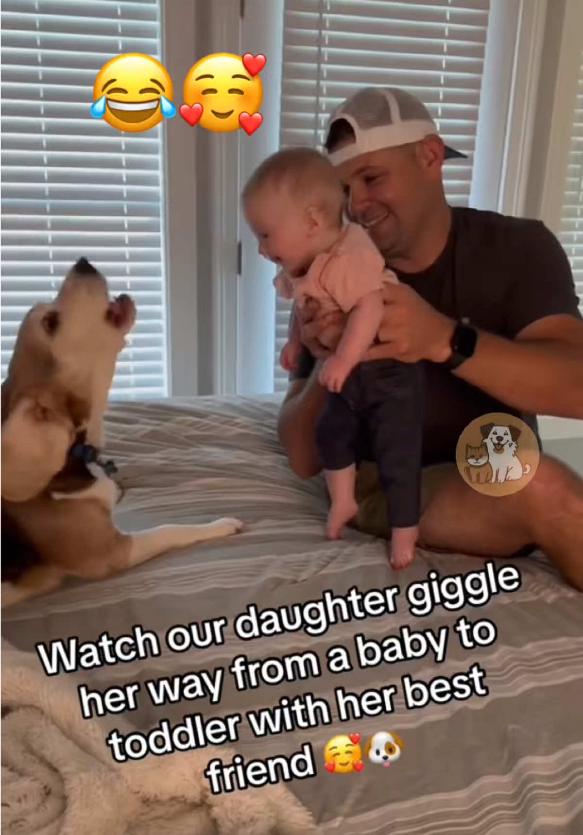 #LIVEIncentiveProgram #LIVEIsEasy #PaidPartnership   @My Petsie @LOLittles @Adam & Elea  @🐾Ricky 🐾 @LOLittles @Adam & Elea  Puppy Playtime = Baby Giggles 🐶👶💕 #MyPetsie  ___________________________________________  Explore the Link in Our Bio for More Best Pets Toys & Supplies! 🛒🛍️  ___________________________________________    Follow @my.petsie  For More Daily Videos 🔥❤️  ___________________________________________  There’s nothing sweeter than the bond between a baby and a playful pup! 🐾 Watch these heart-melting moments as dogs make babies burst into laughter with their silly antics. Pure joy, cuteness overload, and giggles guaranteed! 🎉😂💖 ⁣___________________________________________  Plz Dm for credit & removal 💬 ___________________________________________  Our social Media : 👇(contact on us Instagram    @my.petsie & @my.petsie1 & @mypetsie.store  ___________________________________________  #DogAndBabyMoments #PureJoy #TooCute #CuteDogs #DogLovesBaby #FunnyBabies #BabyGiggles #BabySndDog #FunnyDogs #DogsAndBabies #BabyLaughing #PuppyLove #WholesomeContent #FunnyAnimals #LaughAttack #CutenessOverload #LOLittles #MyPetsie #BabyAndDogFun #HappyVibes #MyPetsie 