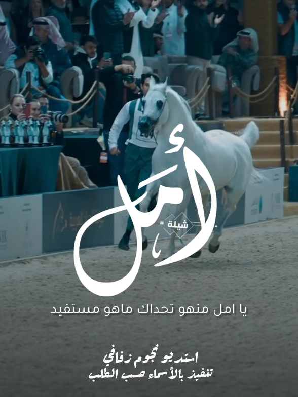 شيلة باسم امل 2025 شيلة مدح امل #استديو_نجوم_زفافي #لطلب_الشيلات_0505336824 #السعودية #الكويت #قطر  #تصميم_فيديوهات🎶🎤🎬تصميمي🔥 #تصميم_اسماء_حسب_الطلب #شيلة_باسم_امل #شيلة_امل #امل 