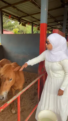 Marka gesi isku maleysid oona fuly tahy waa sidaan😂
