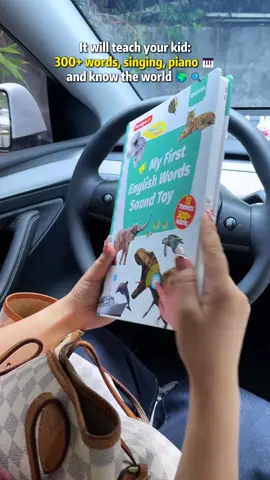 Perfect for road trips! Educational gifts that make every car ride calm and quiet. #baby2025 #toys #learnenglish #LanguageLearning #kidstoys #toysoftiktok #focus #toysforkids #educationtoys #edutoys 