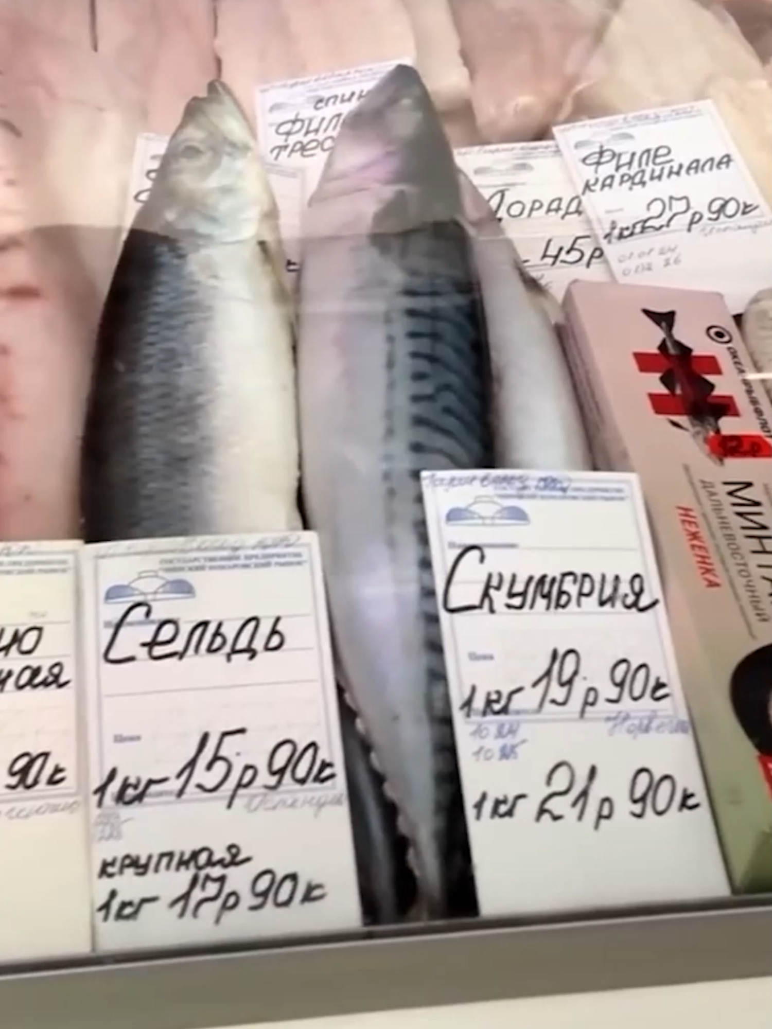 Просрочка в белорусских магазинах ?  #беларусь #лукашенко #новости