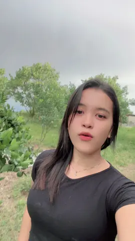 Mirip surga gys