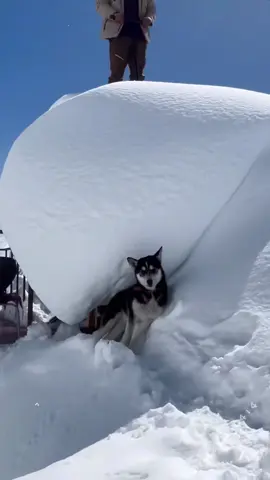 Satisfactory snow removal #satisfying #oddlysatisfying #asmr #snow #ice #fy 