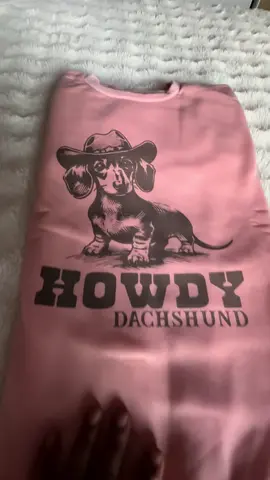 Hermosa sudadera para si sobrina por qué le encantan los perritos dachshund #sudaderacalientita #dacshundprint #tiktokshop 