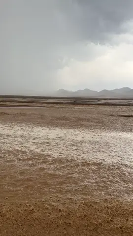 #الوسم 
