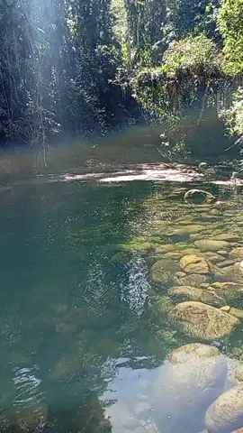 cachoeira do tobogã em Paraty RJ 