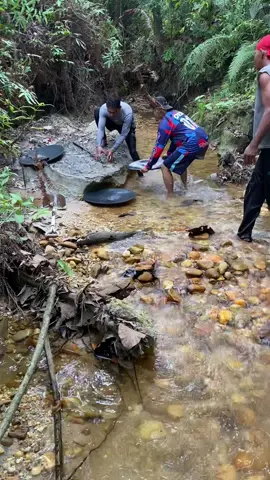 wow... the location is a golden paradise... so many people come to this location 😱😱😱#goldpanning #goldsearching #goldhunting #goldmining #goldhunter #internationalgold #gold #puregold