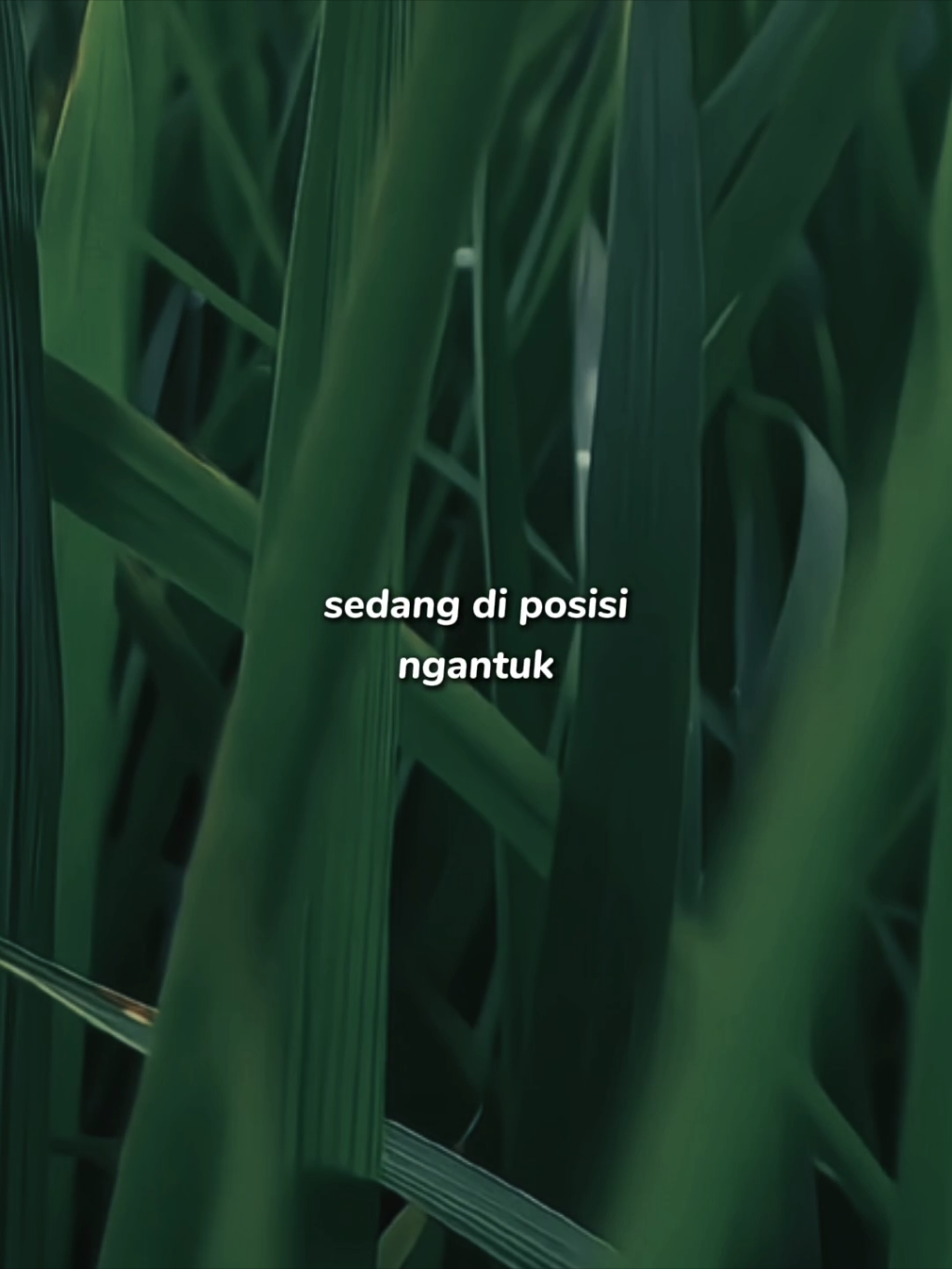 butuh tutor tidur 🥺😔 #CapCut #soundviral #foryou #antemplate #templatecapcut 