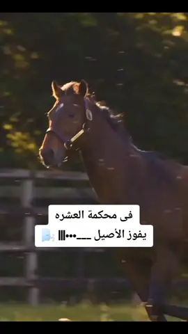 #عالم_منتهى_الصلاحيه 
