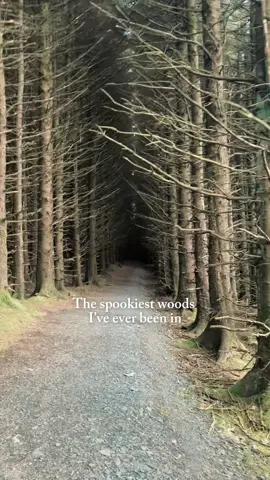Even with pure daylight outside, it got VERY dark the further in we went. Not to mention the eerie silence… This forest looks like it belongs in Grimms’ fairytales 🌲🪾 Location: Ballinastoe Woods, Ireland . #fantasy #ireland #travel #spooky #forest #woods #traveltiktok @Tourism Ireland 