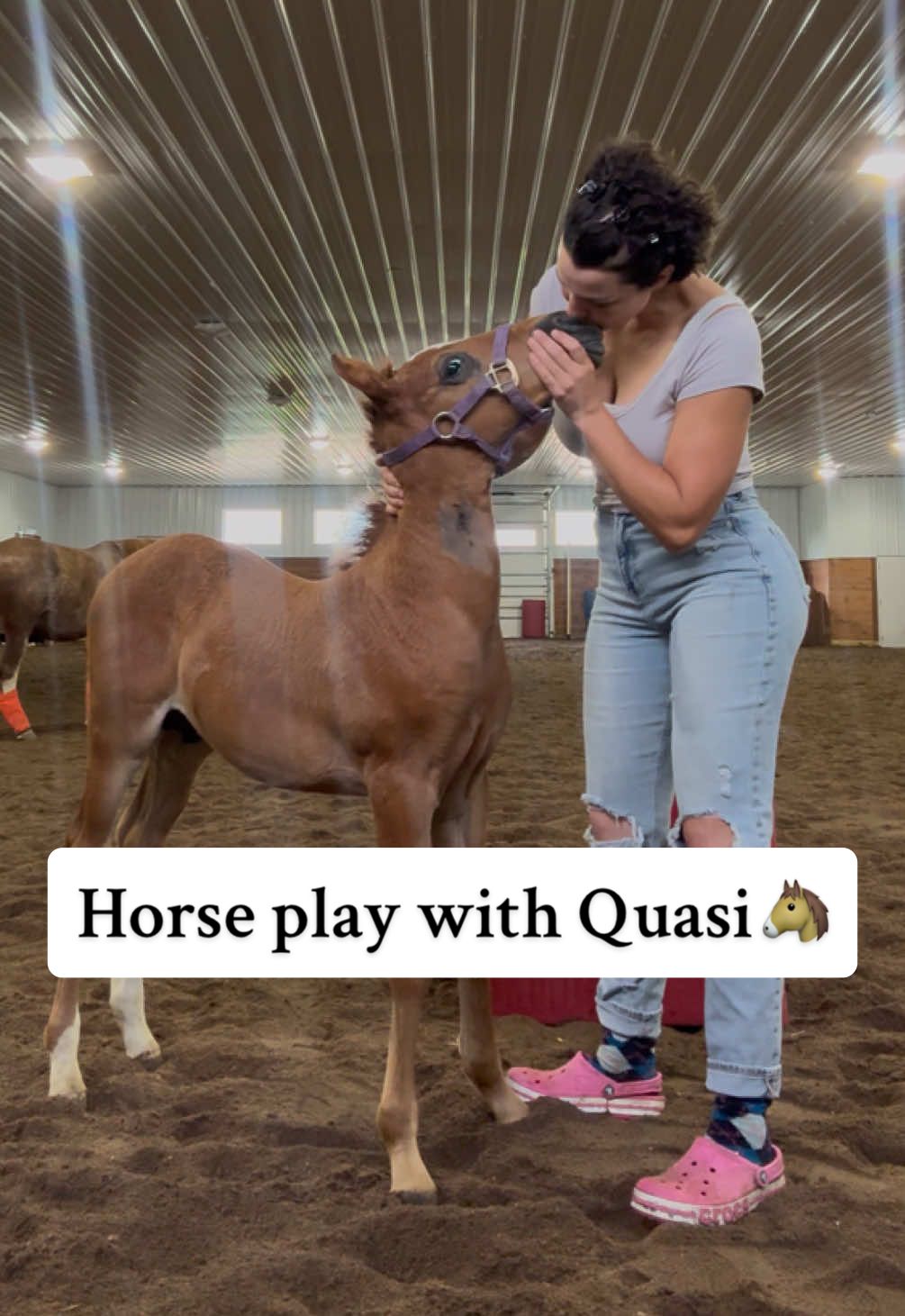 Horse play with Quasi is the best part of my mornings.  #horses #horsegirl #horselover #horsesoftiktok #horselovers #equestrian #horsetraining #horsecare #horsetok #foalsoftiktok 
