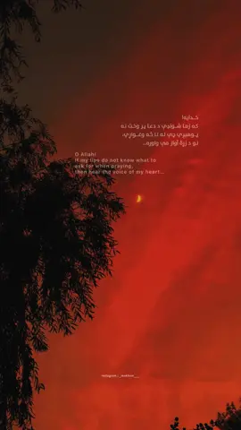 Please support kai 🙏 #pashtoshayari #pashtopoetry #pashtoproverbs #pashtoliterature #pashtoquotes #pashtopoem #pashtuntiktok #pashtosong #makham🌙 #goviral #viral #foruyou #fyp 