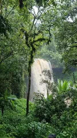sheka zone masha city  shekesheko waterfall