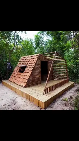 7 Days Alone to Built Bushcraft Cabin in the Wood - Solo Survival, Bushcraft Skills, OFF Grid Cabin#adventure #forest #shelter #build #survival 