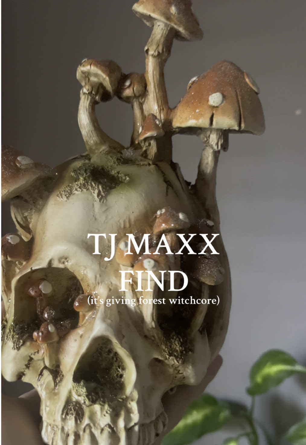 found this shroomy skull of dreams at @TJ Maxx 🍄‍🟫✨💀 forest witchcore vibes activated #tjmaxx #maxxinista #tjmaxxhaul #mushroomcore #darkcottagecore #spookyseason #mushroomdecor #skulldecor #cottagecore 