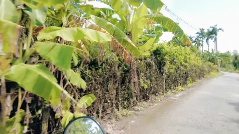 Nhà cổ Cả Bá một trong cụm nhà cổ của dòng họ Thái ở Thốt Nốt, Cần Thơ gần đây xuất hiện nhiều trên phim ảnh 