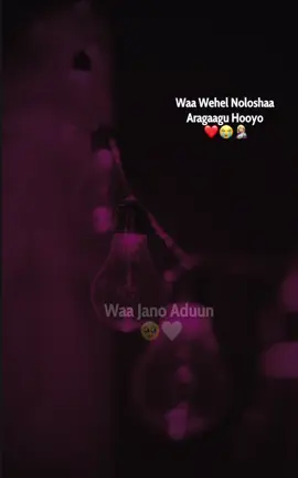 😭#fybシviral #fyp #ogadenia #ogadenigirl🇬🇲🇸🇴🇸🇴💖 #amaadinbila🤍 #precious_fatxi11 #hafidowww💦🐐 #nazialyrics #azmayyyy💐🧕 #king_hamza🦁🤎 #king_hamza🦁🤎 #amaadingang🦁 #fatxi_walaasheed🥺🦋 #🍁jawibila🌬️🌸 #fybシviral 