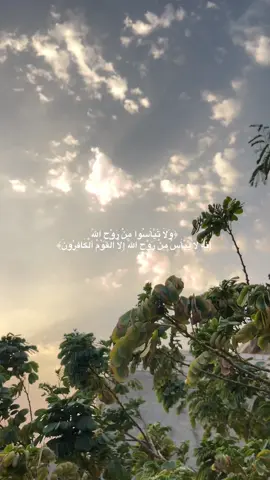 🧡🧡 #القران_الكريم #اكسبلور #عبد_الباسط_عبد_الصمد #ولا_تيأسوا_من_روح_الله #تصويري📸اكسبلوور #اللهم_صل_على_محمد_وآل_محمد 