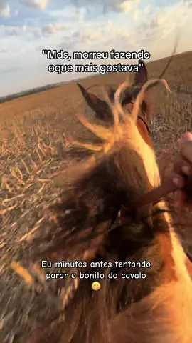 Só deus pra salvar 🥹 . . . #fyp #vaiprofycaramba #horse #equinos #cavalos #goias 